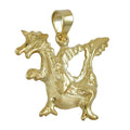 pendant 20x18mm dragon shiny 9kt gold