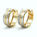 earrings hoop two tone 9k gold